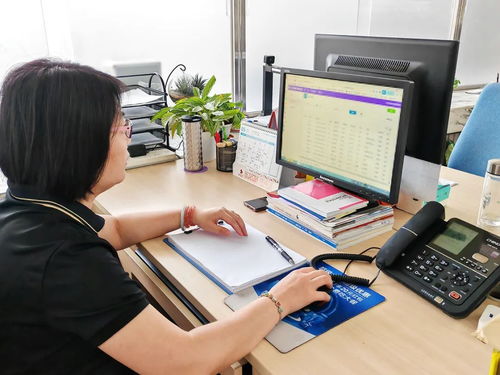 顺义区为高校毕业生提供无缝衔接式就业服务，计算机信息技术咨询助力精准就业