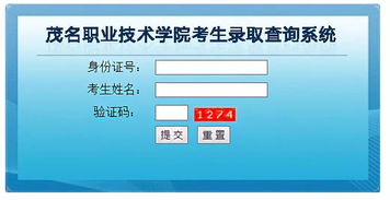 学考录取结果陆续揭晓，信息技术咨询服务助力考生把握未来